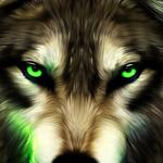 Pretty the Wolf