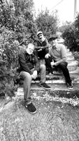 Terrapin trio photo
