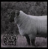 The Grand Sheep photo