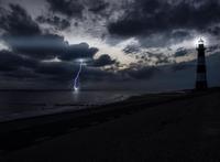 Lyndsay Wills photo