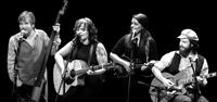 Allison Crowe photo