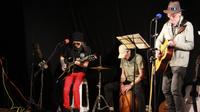 American String Conspiracy photo