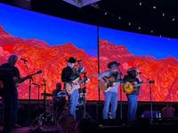 Chris Heers - High Blue Cactus photo