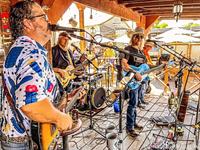 Chris Heers - High Blue Cactus photo