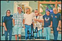 Chris Heers - High Blue Cactus photo