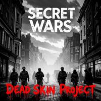 Dead Skin Project photo