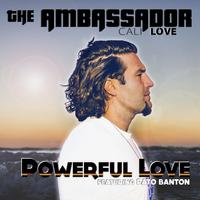 The Ambassador photo