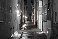 Tony Sciuto photo