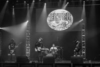 Lever photo