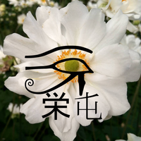 Eidon photo