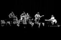 Terrapin Station photo