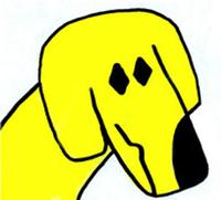 Dog OK photo