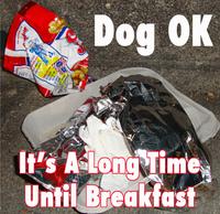 Dog OK photo