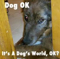 Dog OK photo