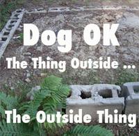 Dog OK photo