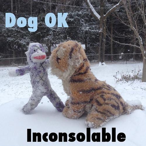 Inconsolable cover