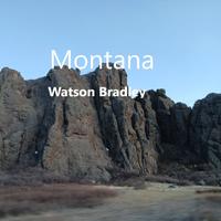 Watson Bradley photo
