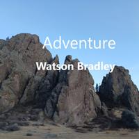 Watson Bradley photo