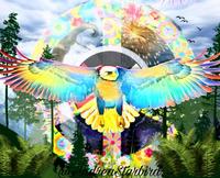 Sista Starbird photo