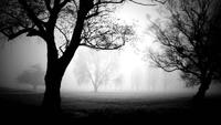 Mark Klem photo