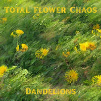 Total Flower Chaos photo