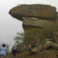 ZuluMlungu photo