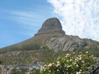 ZuluMlungu photo
