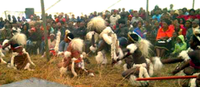 ZuluMlungu photo