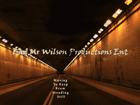 Bad Mr Wilson photo