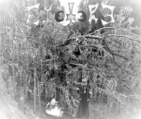 Exetere photo