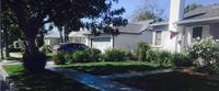 Tree Care Services photo
