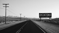 DYZATONE photo