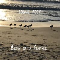 Rogue Poet photo