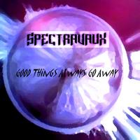 Spectravaux photo