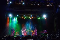 THE ELECTRIX photo