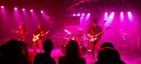 Untaymed photo