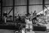 Monkey Love Band photo