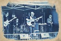 JJ NYBERGH & FRIENDS photo