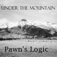 Pawn’s Logic photo