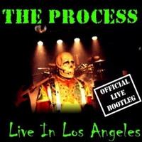 THE PROCESS photo