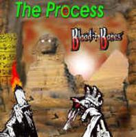 THE PROCESS photo