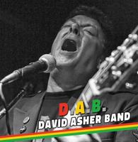 DAB (David Asher Band) photo