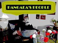 STEVE'S IMAGINATION: AMPHETAMINE ORCHESTRA photo