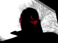 STEVE'S IMAGINATION: THE GAY SILHOUETTES photo