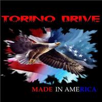 TORINO DRIVE photo
