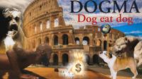 Y'man Dog photo