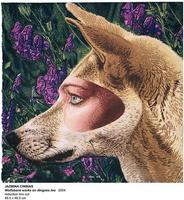 raised by dingoes photo