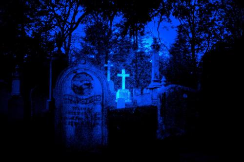 Profile photo image_00ce25c9543416ba543e44c5f4e5a411.jpeg