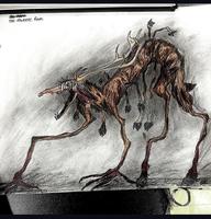 Elk Hunter photo