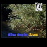 Vibrano photo